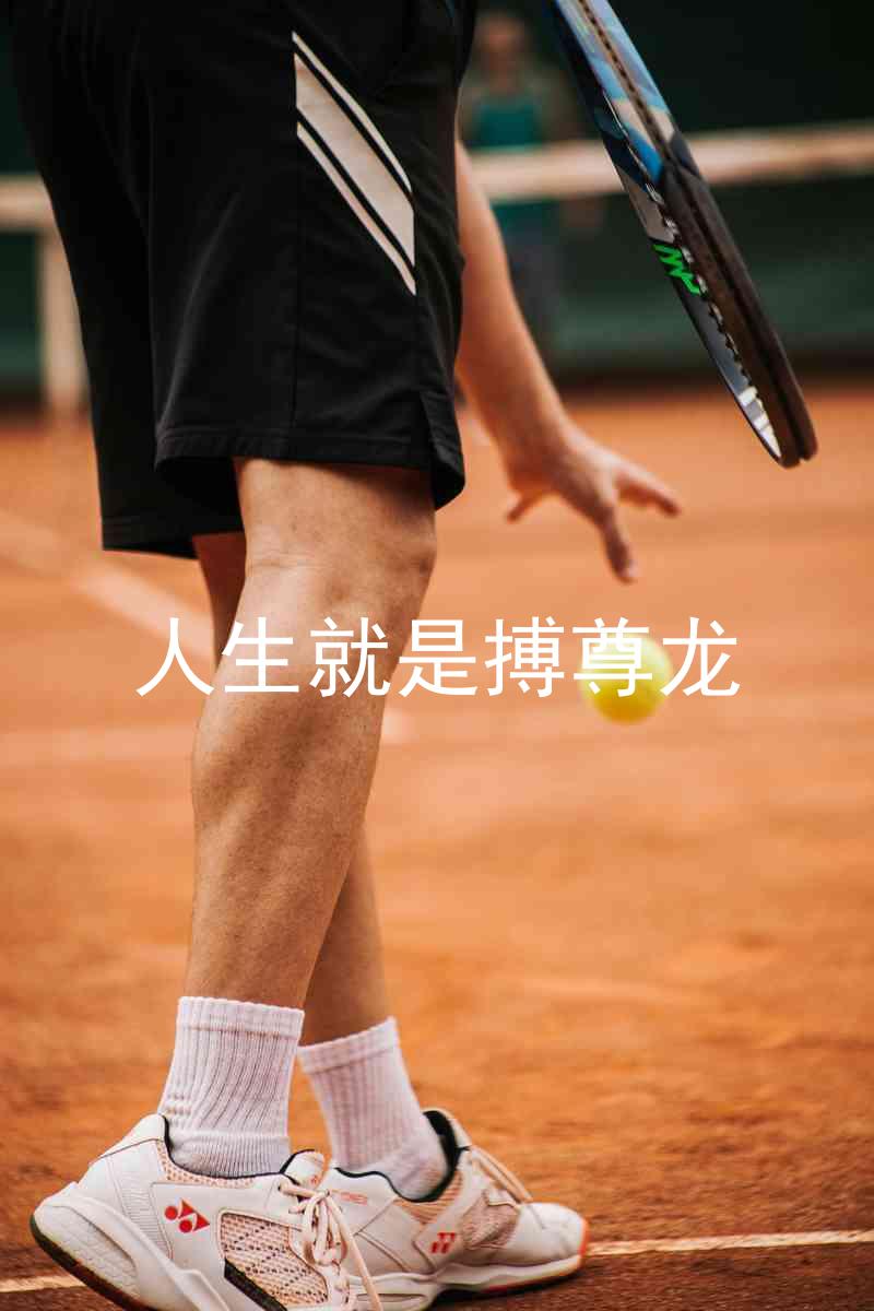 人生就是搏尊龙