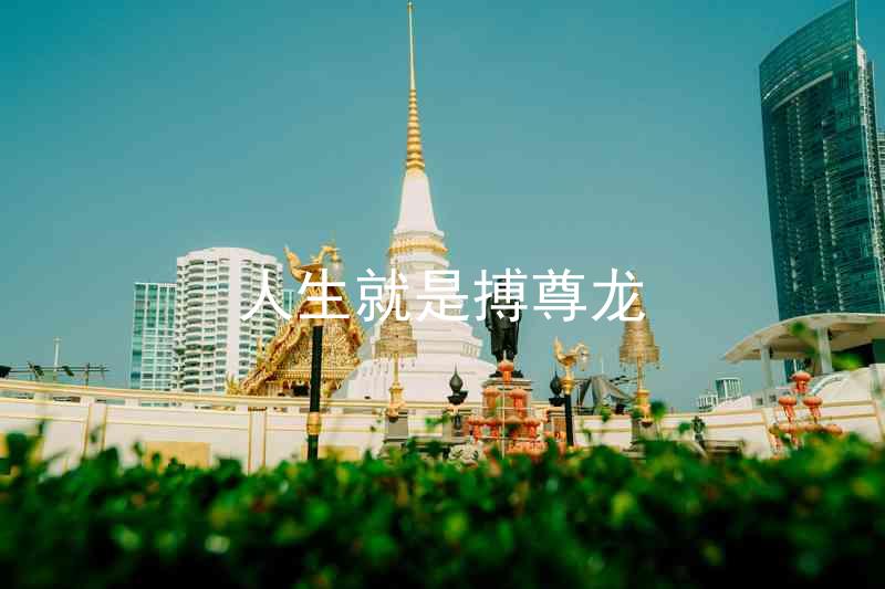 人生就是搏尊龙