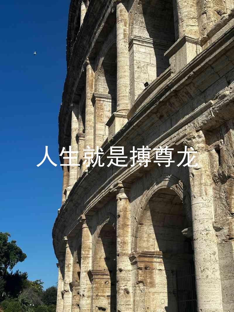 人生就是搏尊龙