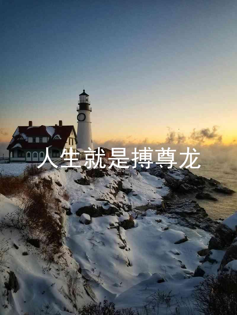 人生就是搏尊龙